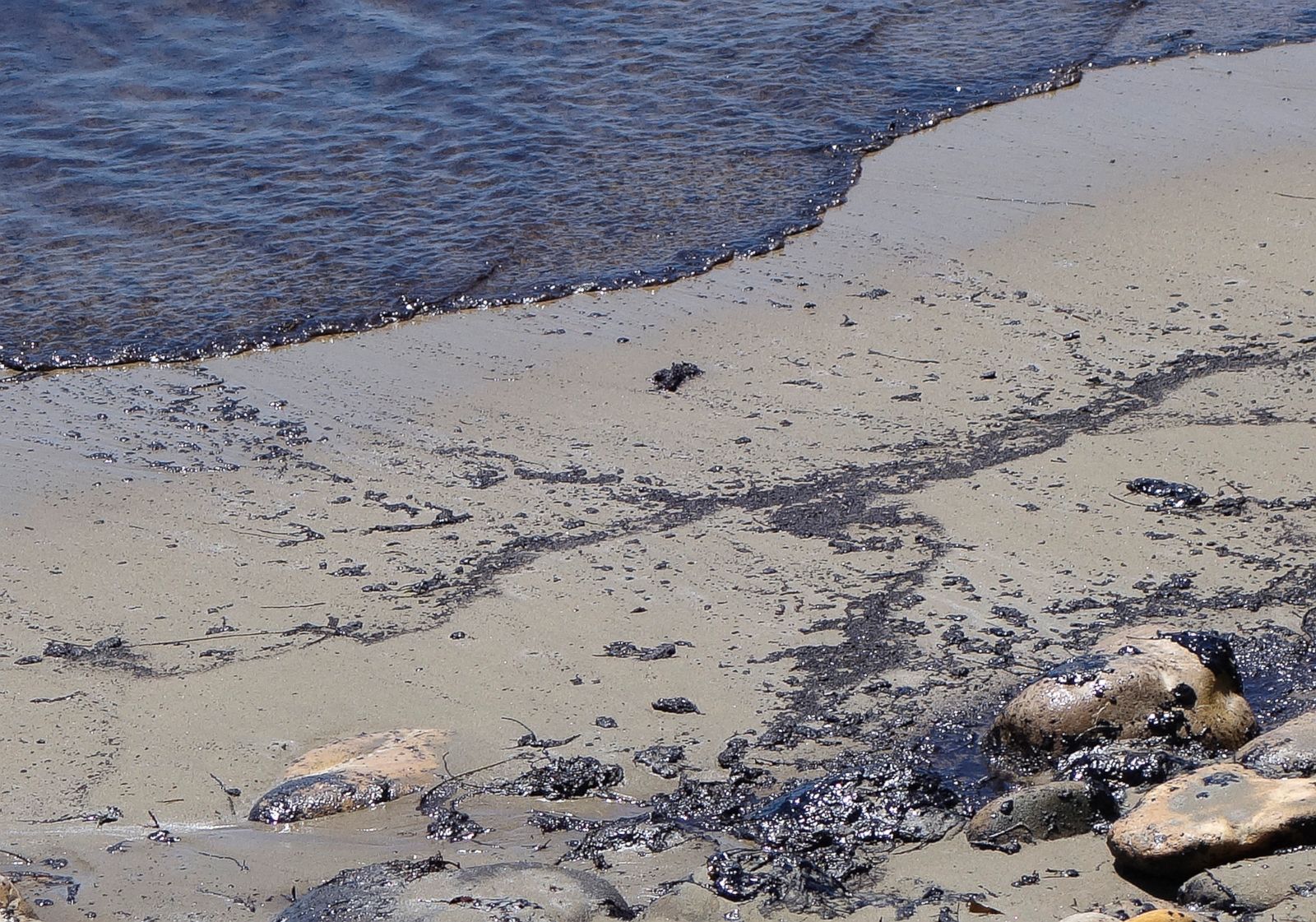 California Oil Spill in Refugio State Park Photos Image 21 ABC News
